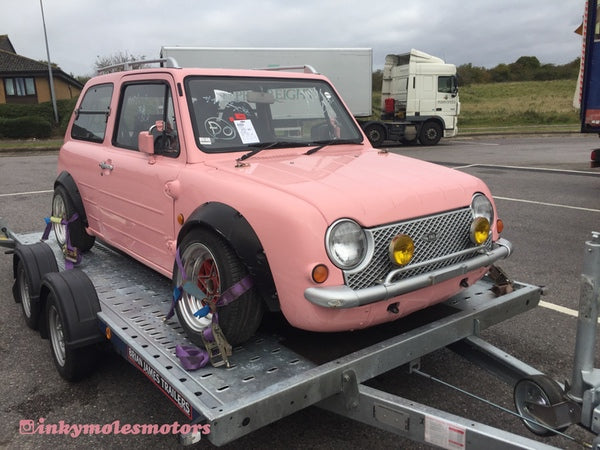 P'inkymole. It's pink, over-powered, spits flames and is ours!